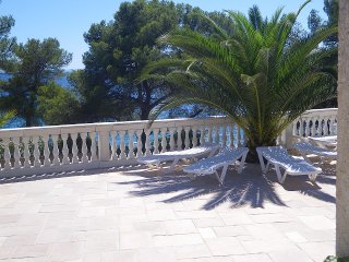 jardin