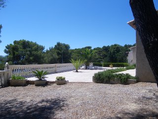 terrain